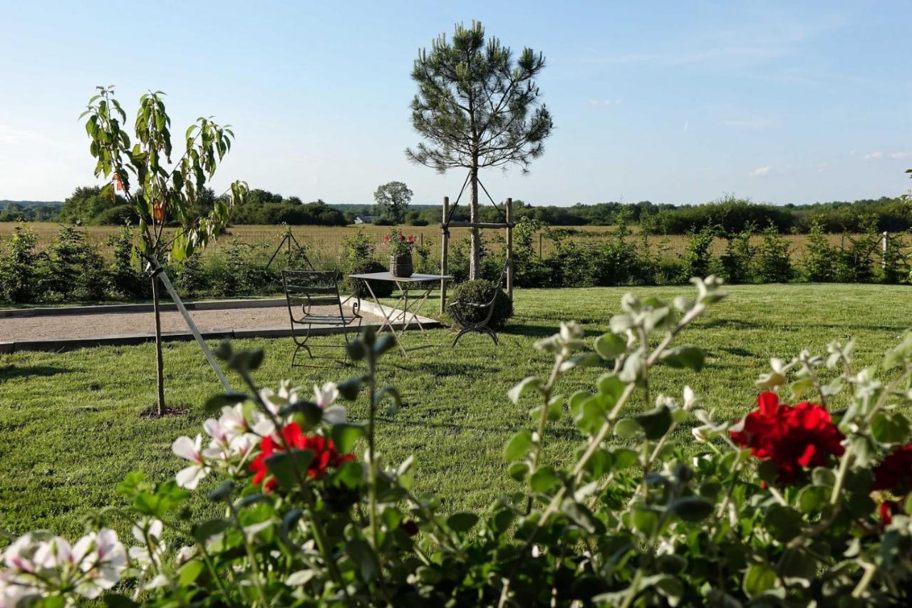 Le Montillon Tour-en-Sologne Exterior photo